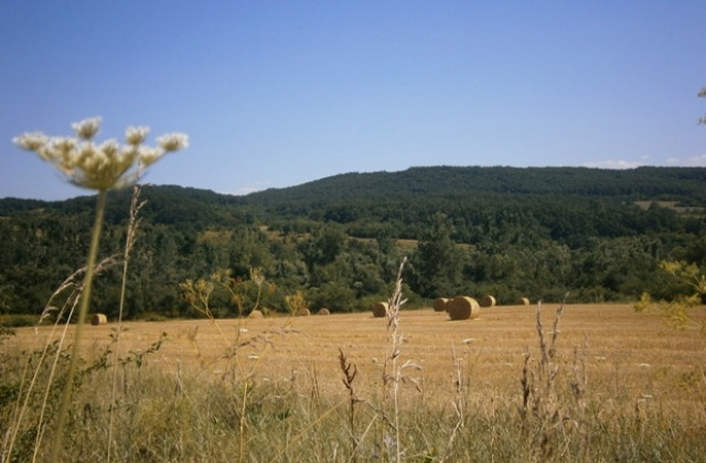Слънчево, на места с валежи