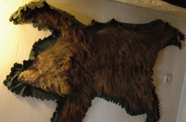 Конфискуваха меча кожа от заведение