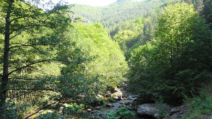 В прегръдката на Родопите