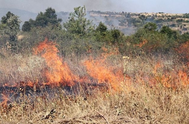 Пожар бушува край Нова Загора, няма опасност за населените места