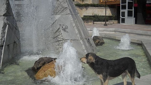 Градусите още нагоре Варна пак е в жълто