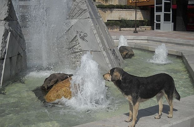 Градусите още нагоре, Варна пак е в жълто