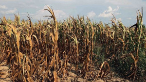 Горещите вълни доказват глобалното затопляне