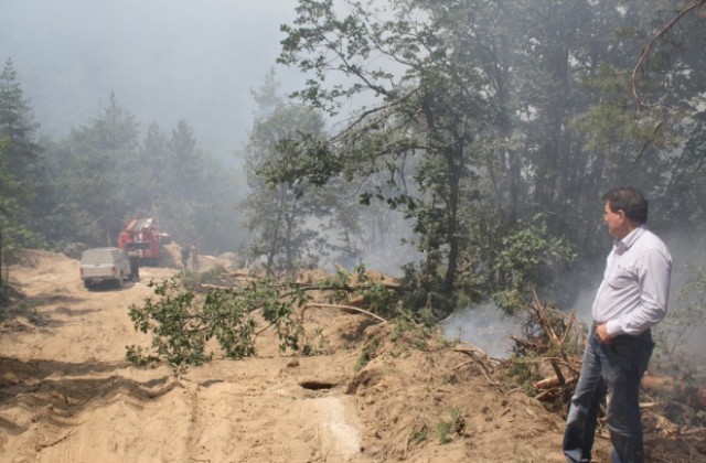 37 грамоти за гасилите пожара в Сакар планина