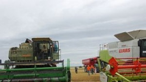 Проверките за зърното са PRакция според производител