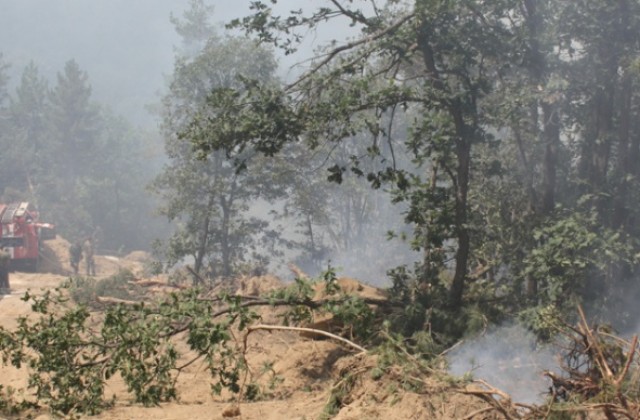 Голям горски пожар край Ветрен, горят стърнища до Ягода и Самуливо