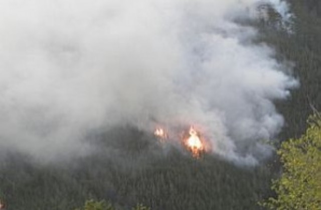 Пожарът край Белица се e разраснал