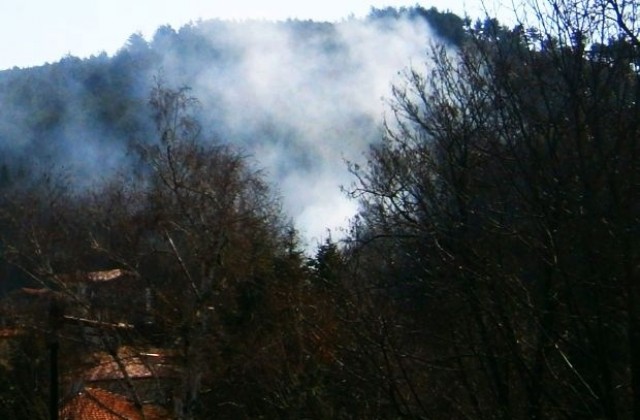 45 дка акациева гора изгоряха край Иван Вазово