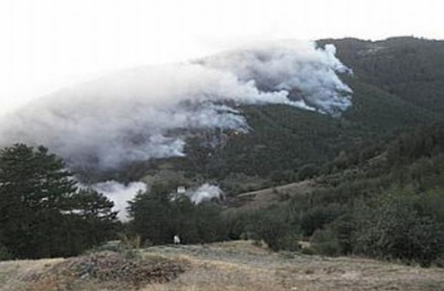 Над 3000 дка борова гора и сухи треви e изпепелил  пожарът в Родопите