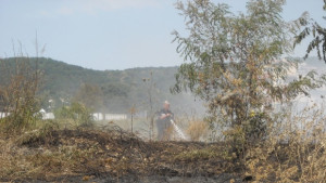 Пожар гори около стадион Варна
