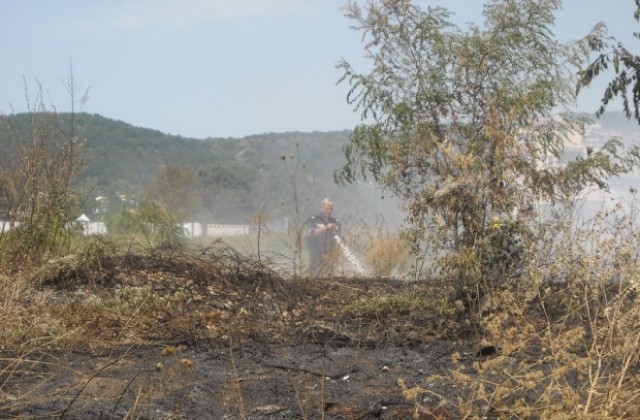 Пожар гори около стадион Варна
