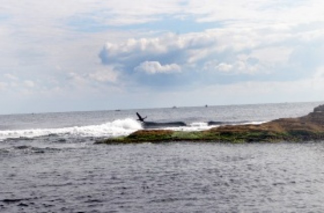 Най-старата компания за морски превози във Великобритания фалира