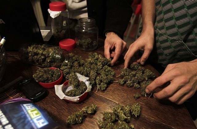 Уругвай обмисля правителството да стане основен дилър на марихуана в страната