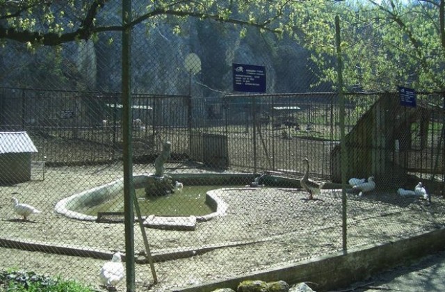 Човек падна от скалите над зоокъта в Кайлъка