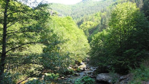 Магията на Родопите