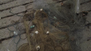 50 метра бракониерски мрежи са иззели инспектори на ИАРА Силистра