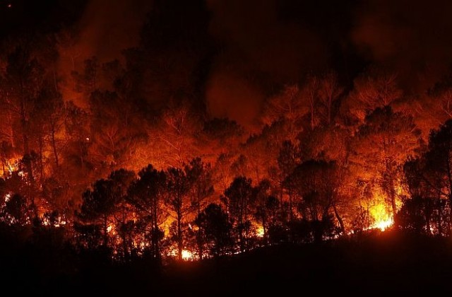 Хиляди евакуирани заради пожарите на Канарските острови