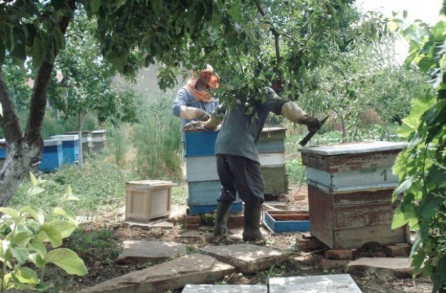 Добивът на мед в Старозагорско с 10% по-нисък заради сушата