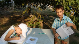 Дърво на историята в ивайловградското село Плевун