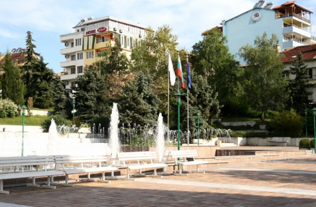 Санданчани излизат на протест срещу изсичането на дървета в курорта