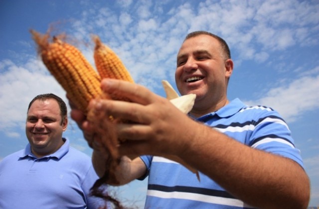 Очаква се поскъпване на месото и млечните продукти