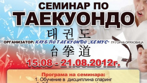Горна Оряховица домакинства технически семинар по таекуондо