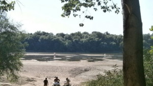 Корабособственици търпят загуби заради ниското ниво на Дунава