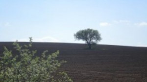 Орач изрови снаряд от Рускотурската война