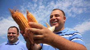 Очаква се поскъпване на месото и млечните продукти