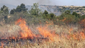 Пожар горя в землището на село Аспарухово