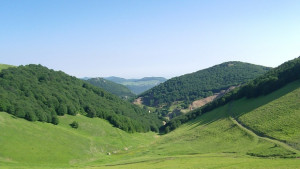 Отново парти във Врачански балкан