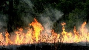 Задържаха заподозрения за пожара край Динево