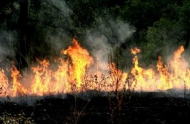 Задържаха заподозрения за пожара край Динево
