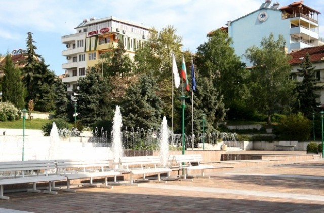 Нов протест срещу изсичането на дървета в Сандански