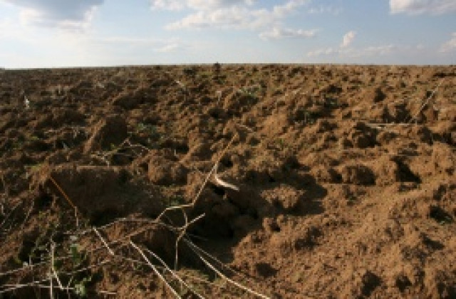 Цените на земеделската земя в Добричко стигат 1300 лв. за декар