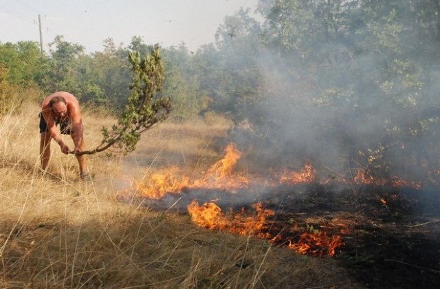 Заварчик запали гората край Александрово