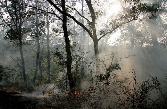 Двата пожара в Бургаско са потушени