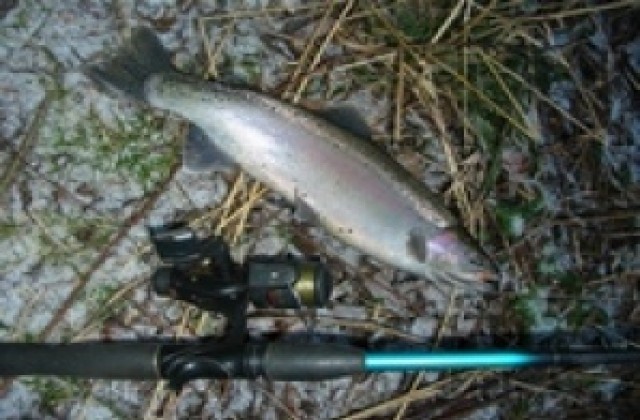 Хванаха рибар и провериха 11 ловци