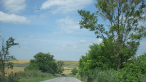 Сърна причини катастрофа трима пострадаха леко