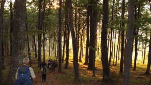 До морето пеша