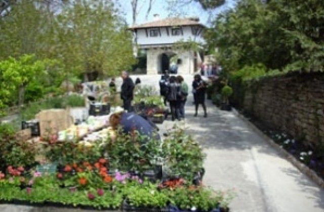 Изложба живопис на Велислава Смилянова показват в Двореца