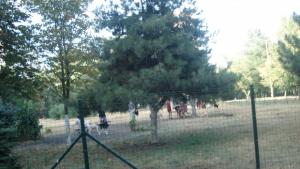 Слагат кошове за кучешки отпадъци заграждат площадки за разходки