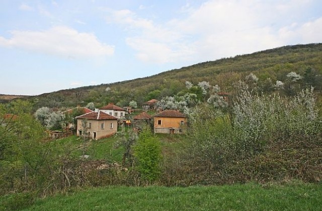 Една тъжна българска картина