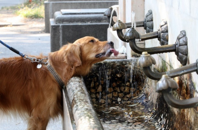 Част от Варна без вода заради авария