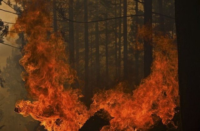 Над 50 къщи са разрушени от пожар в Калифорния