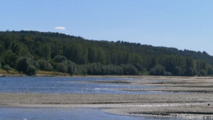 До дни корабоплаването по Дунав може да спре