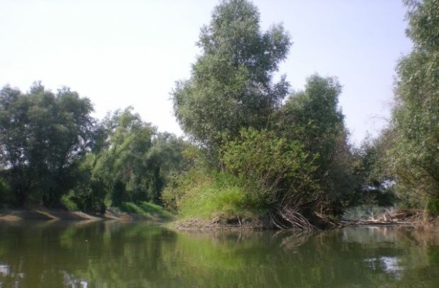 Преплуване на Дунава организират в Силистра