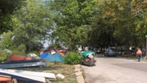 Чистят и обезпаразитяват Силистра заради международна регата