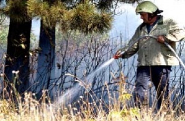 Пожар унищожи 10 пчелни семейства