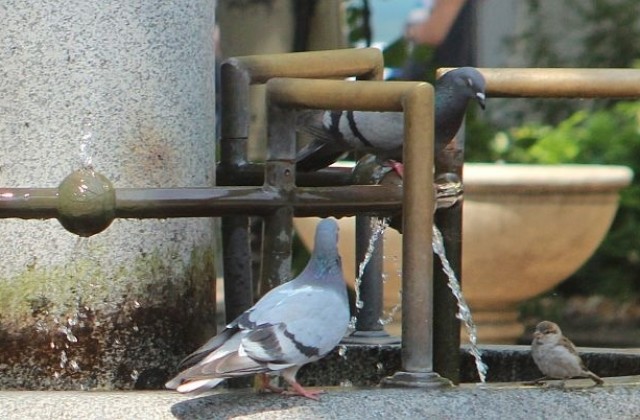 Слънчево и горещо